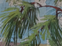 pine_boughs_with_limes